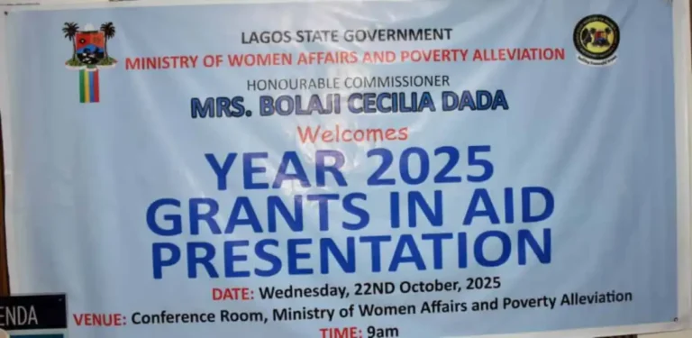 Lagos disburses ₦12.5m grants to 50 women-focused NGOs