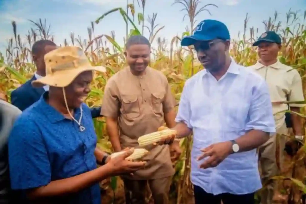 Edo State Gov promotes job creation, agribusiness at Udomi farm