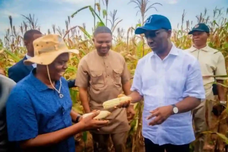 Edo State Gov promotes job creation, agribusiness at Udomi farm