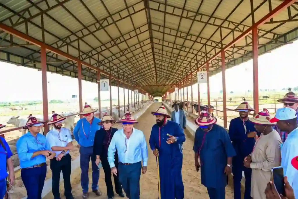 Niger State allocates 20000 hectares for sugar production