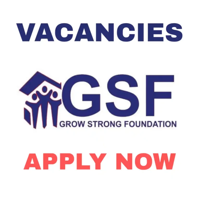 Grow strong foundation gsf begins recruitment in Borno