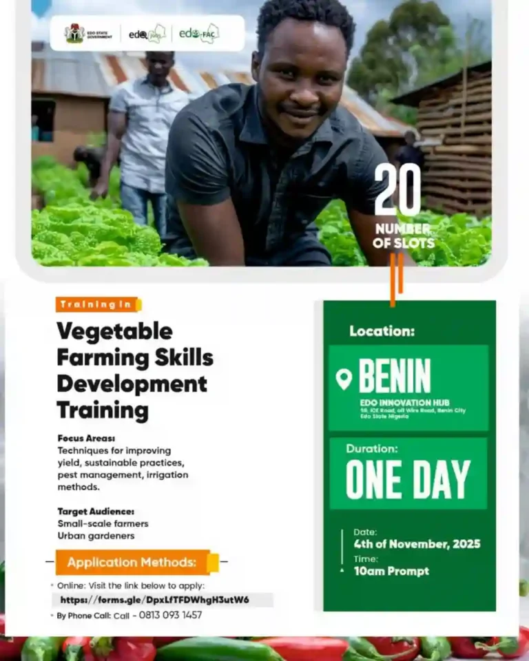 Edo announces vegetable farming training in Benin City