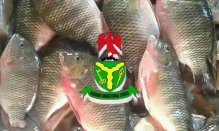 Hope Behind Bars Africa launches inmate farming training