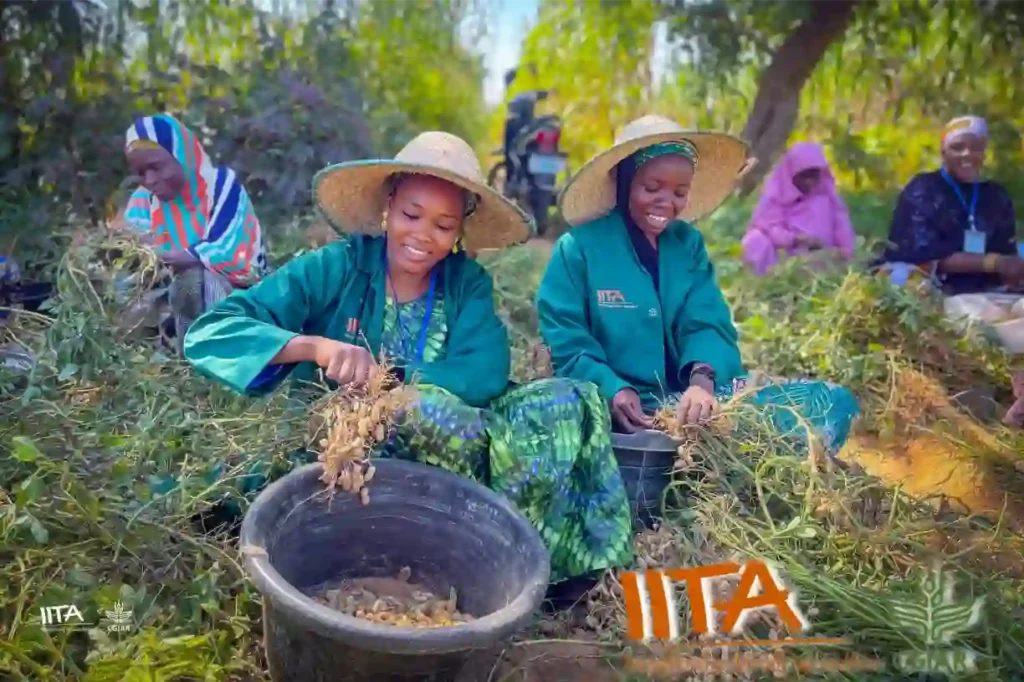 IITA partners FG to boost soil health, sustainable agriculture