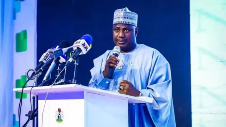 Nigeria to distribute free farm inputs as food prices drop