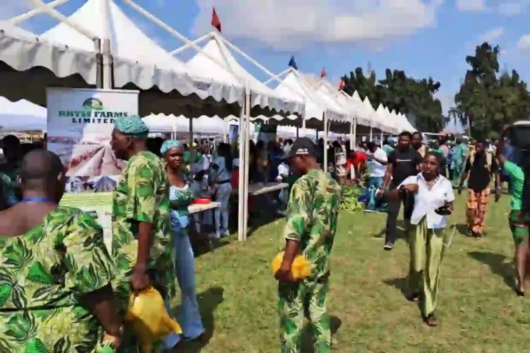 World Food Day 2025: Lagos reaffirms food security commitment