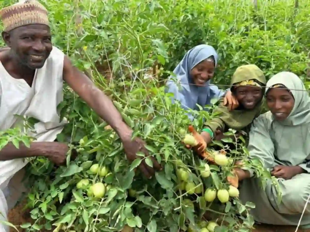 NCF trains 200 Yobe farmers on sustainable agroforestry
