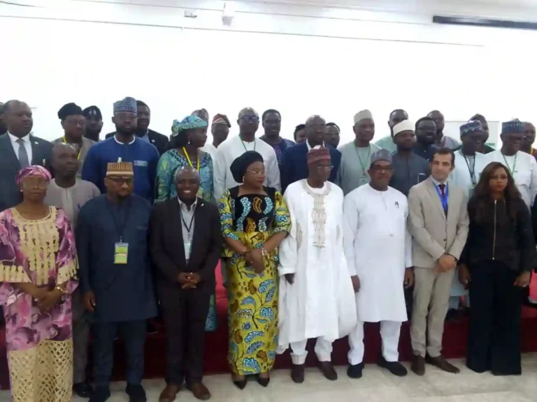 FG targets $1tn economy, $74bn from livestock by 2035