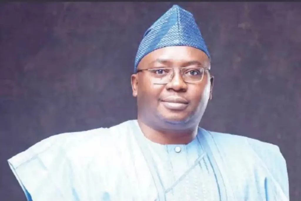 FG secures N700bn to deploy 1.1m electricity meters nationwide – Adelabu
