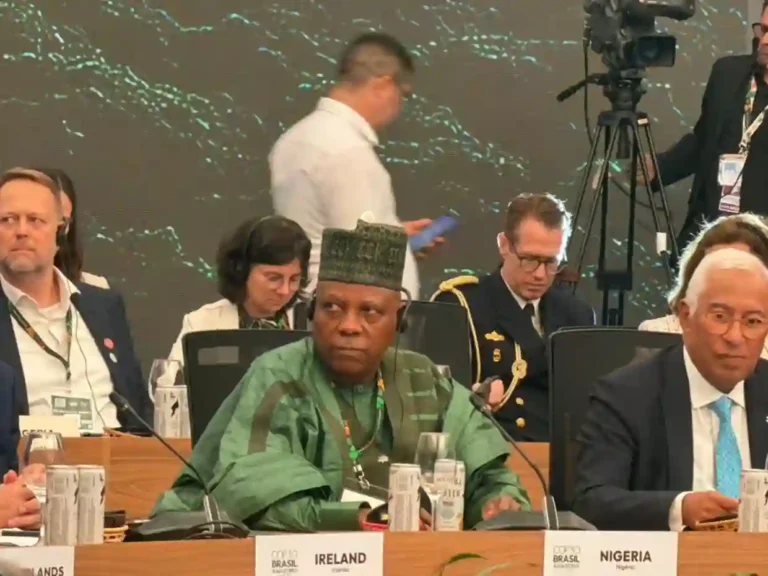 COP30: Nigeria to mobilise $3bn annually for climate finance, VP Shettima