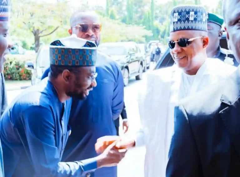 Nigeria Has Ended Economic Volatility, Says VP Shettima