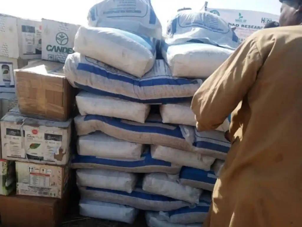 FG Targets 80,000 Farmers as Wheat Dry-Season Farming Begins in Borno