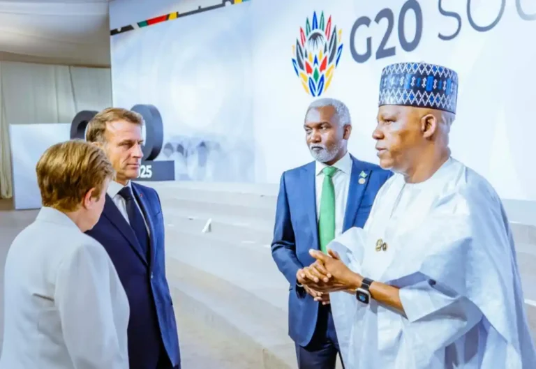 Tinubu urges G20 to make Africa centre of value creation, not raw materials