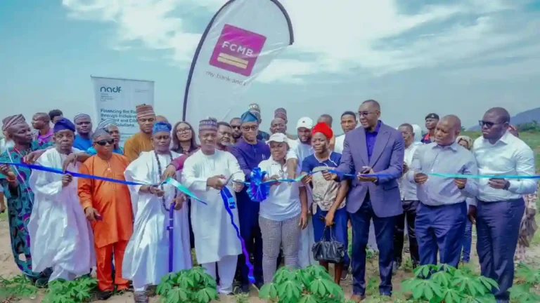 NADF, Mastercard, FCMB Launch Cassava Programme for 12000 Oyo Women