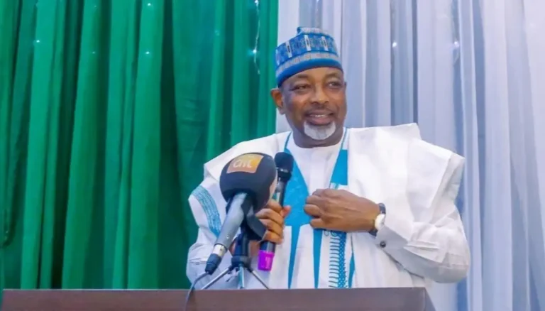 Tinubu Launches Global Flood Disaster Management Project