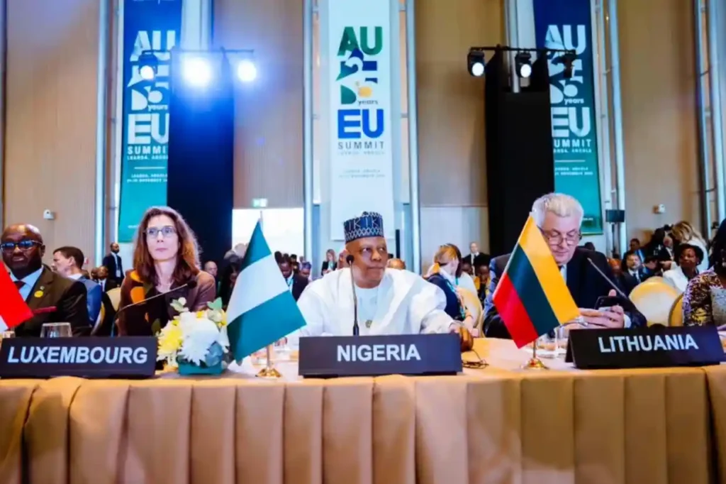 Nigeria Pushes for Africa’s Permanent UN Security Council Seat