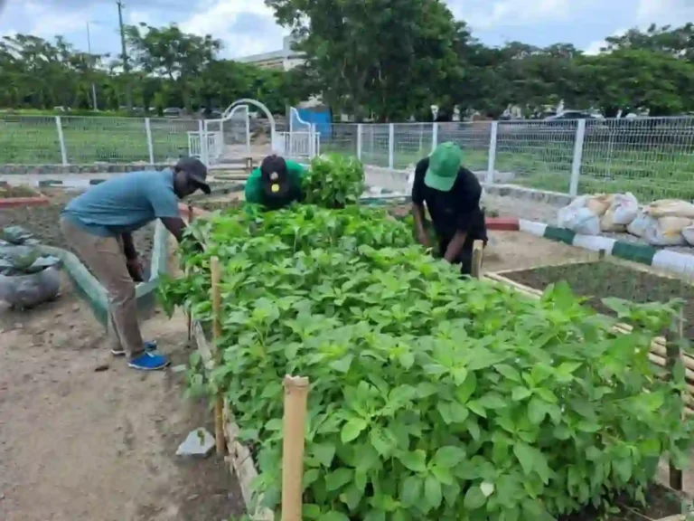 Rural Farmers to Receive Training as Abuja Targets 20 Million Tourists