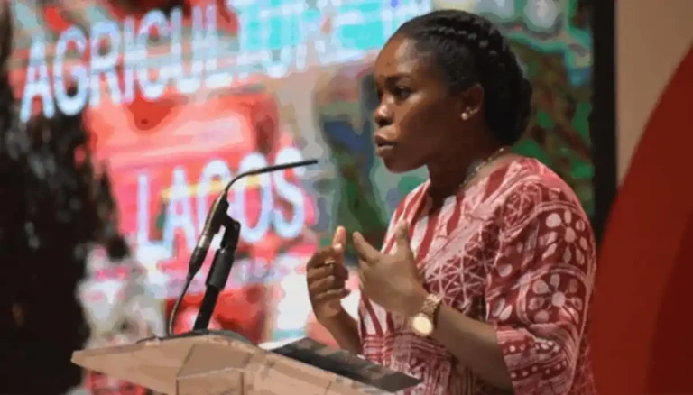 Lagos invests N150m to empower young agripreneurs against food crisis