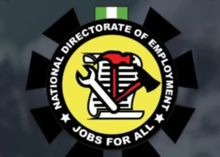 NDE trains 253 Ekiti youths on entrepreneurship, business management
