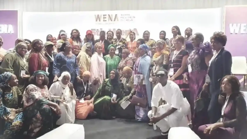 Nigeria’s 2026 tax reforms to exempt small businesses, empower women