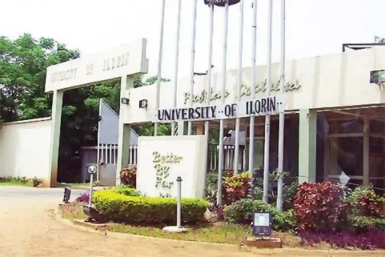 UNILORIN partners MEF, PHI to launch FEED programme for food security
