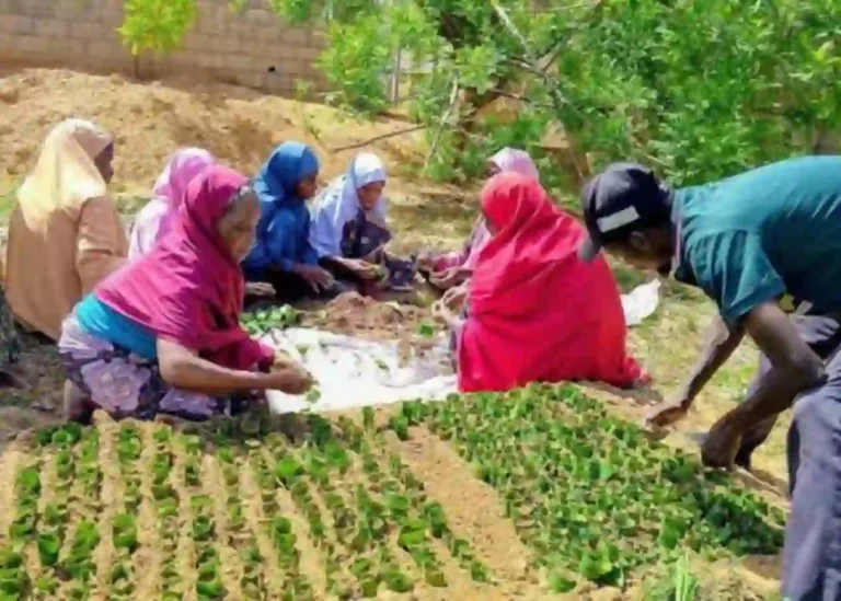 Federal Government Reaffirms Support for Kwara Women Farmers