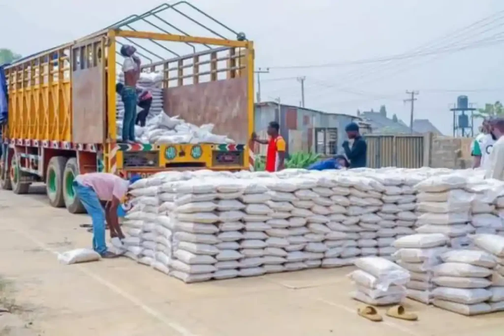 Niger, IFAD Programme Reports Major Gains in Rice, Cassava Production