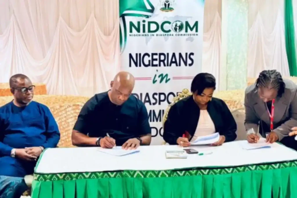 NIDCOM announces partnership to connect Nigerian youths to remote jobs