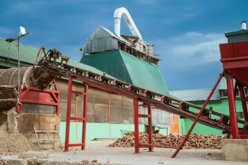 Psaltry Launches Initiative to Empower 15000 Women in Cassava Farming