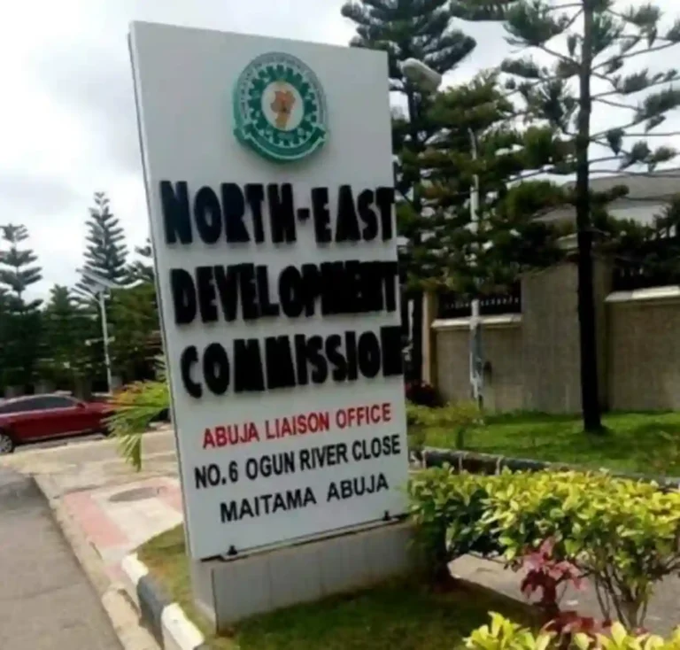 NEDC Empowers 38,000 Yobe Almajiri Children