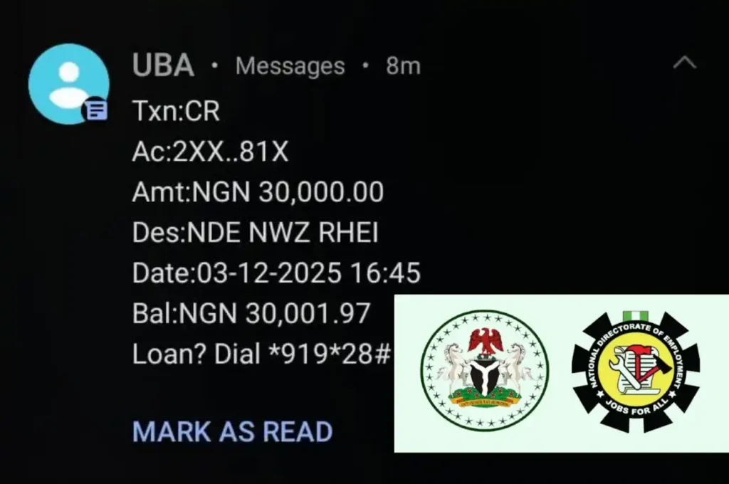 FG Begins Payment of N30,000 NDE RHEI Stipends to Trainees