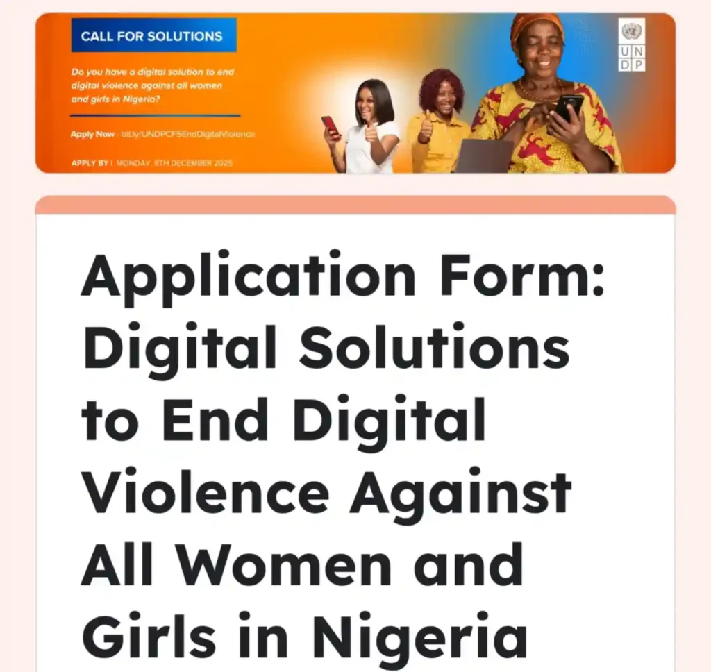 Apply for UNDP Nigeria Call for Youth Tech Solutions on Digital Violence