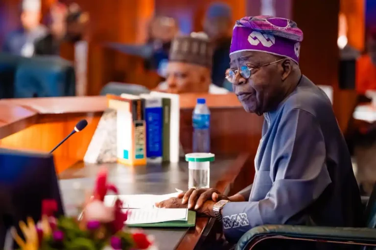 Tinubu Constitutes Boards for NADF, BOA and UBEC