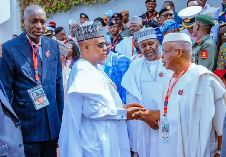 Tinubu Orders Implementation of NIPSS Blue Economy Recommendations