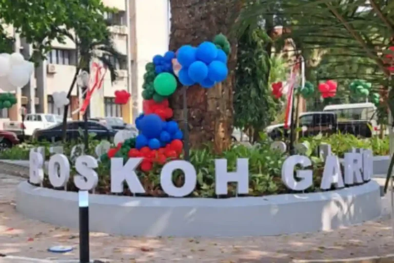 Lagos Unveils BOSKOH Garden, Launches Christmas Lights Tradition