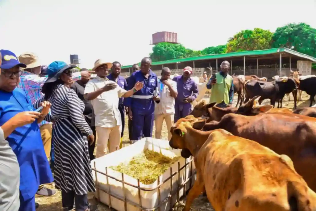 FG Backs Ranching After Inspecting Manchong Integrated Farms