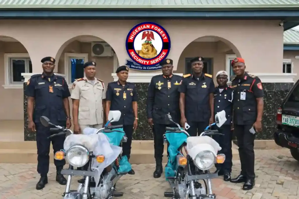 Explainer: Nigerian Forest Guard Recruitment, How It Works and How to Apply