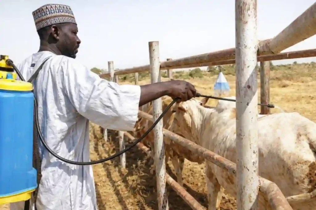 FG Launches Tsetse Fly Control Intervention in Taraba, Sokoto