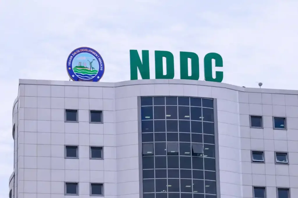NDDC 2025 budget will not be business as usual – Reps committee chair
