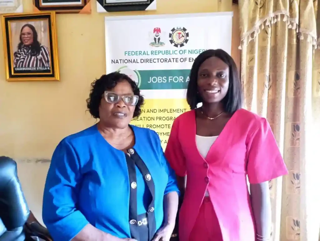 Ebonyi Government, NDE To Create 3000 Jobs for Youth