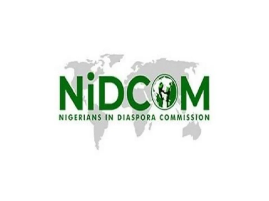 FG launches N1m diaspora startup challenge, flagship event for 2025