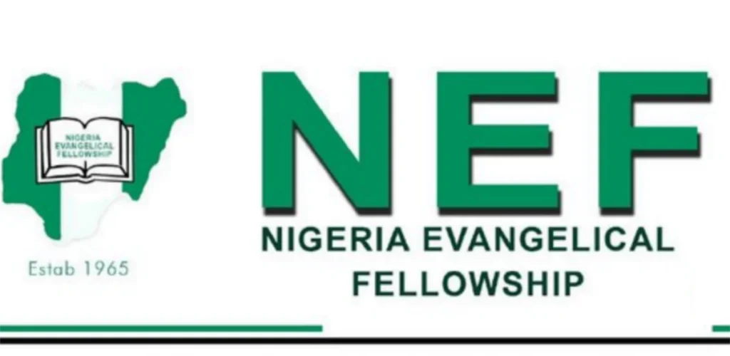 NEF, AEA launch food aid for displaced families in BAY states