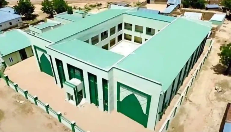 FG sets up 119 schools to support Almajiri and out of school children