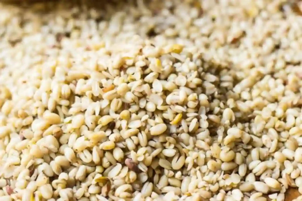 Anambra Allocates N200m for Traditional Fruit Tree Seedlings in 2026