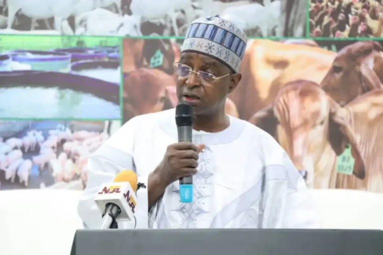 Nigeria Eyes $70bn Boost from Livestock Reform