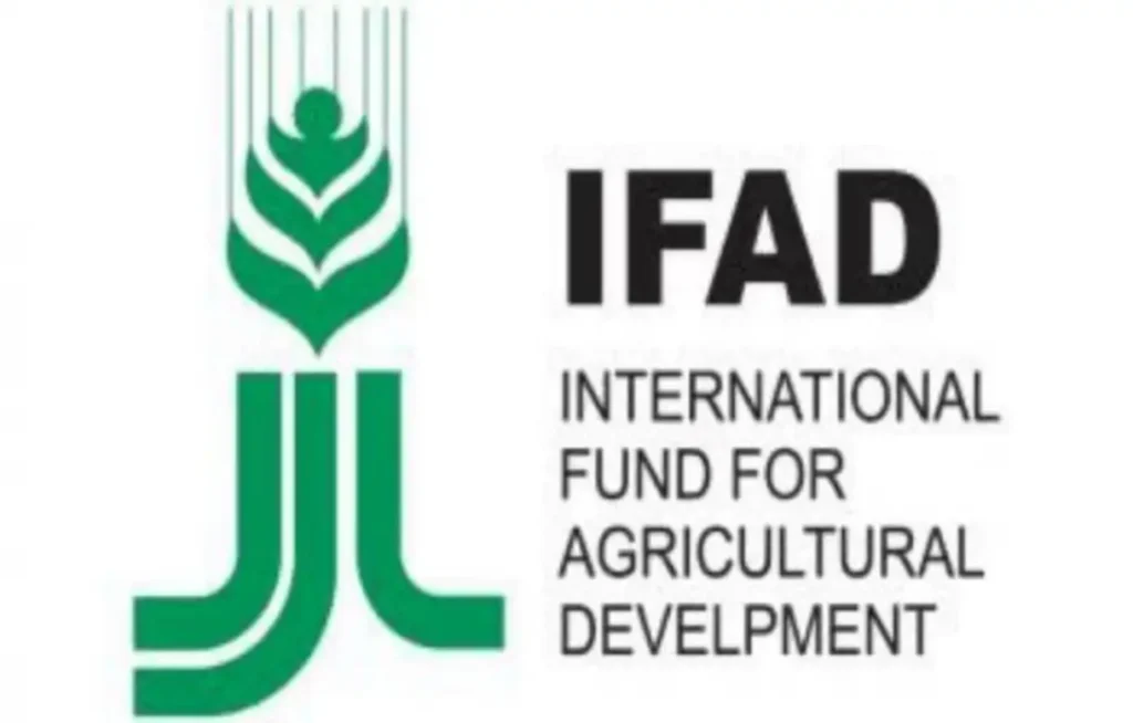 FG, IFAD Flag Off 2025 Dry Season Farming Inputs in Ebonyi