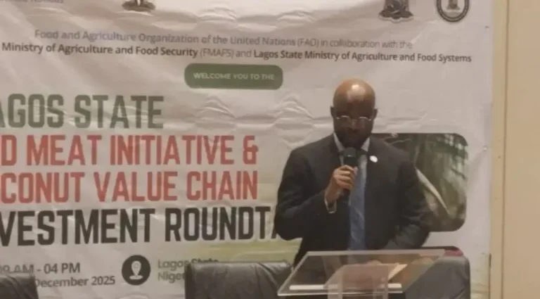 FAO, Lagos partner on investment in red meat and coconut value chains