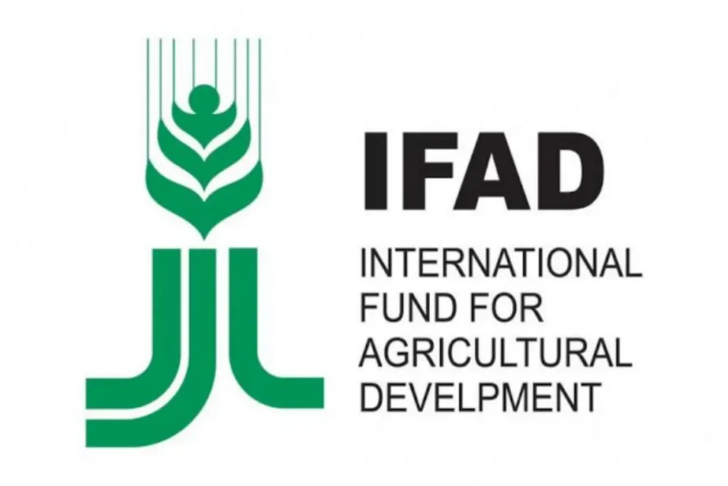 FG, IFAD create 12,000 permanent jobs through VCDP