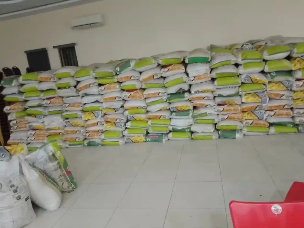 Yuletide: Festus Keyamo Distributes 4000 Bags of Rice, Cows in Delta