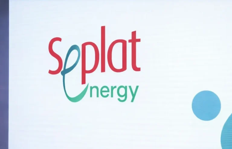 Heirs Energies, Heirs Holdings acquire 20.07% stake in Seplat Energy